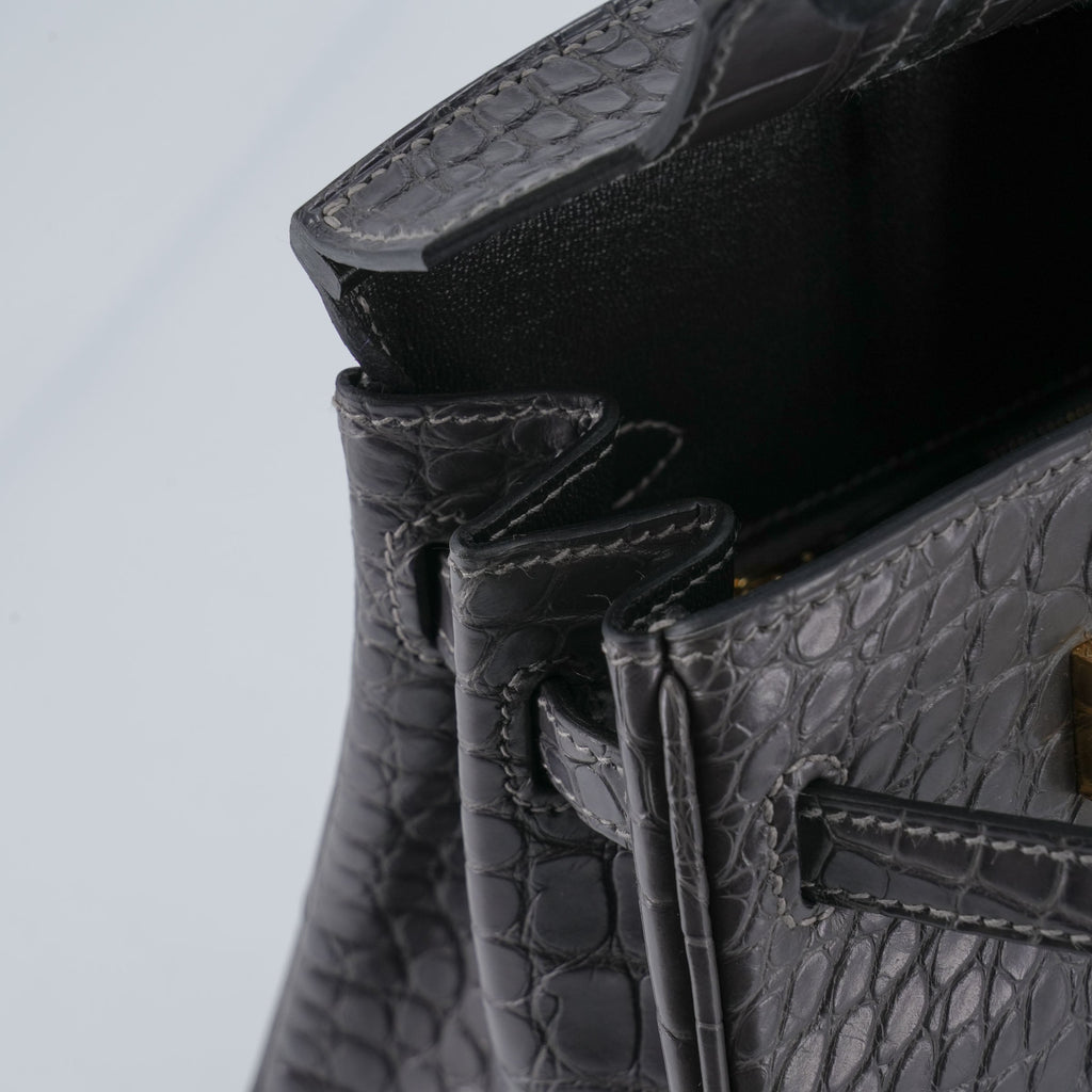 HERMÈS Birkin 25 Graphite (88) Matte Alligator Gold hardware K (2025)