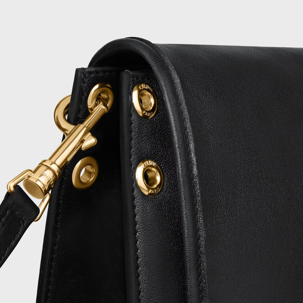 Celine SOFT TRIOMPHE BESACE IN SUPPLE SHINY LAMBSKIN 2025