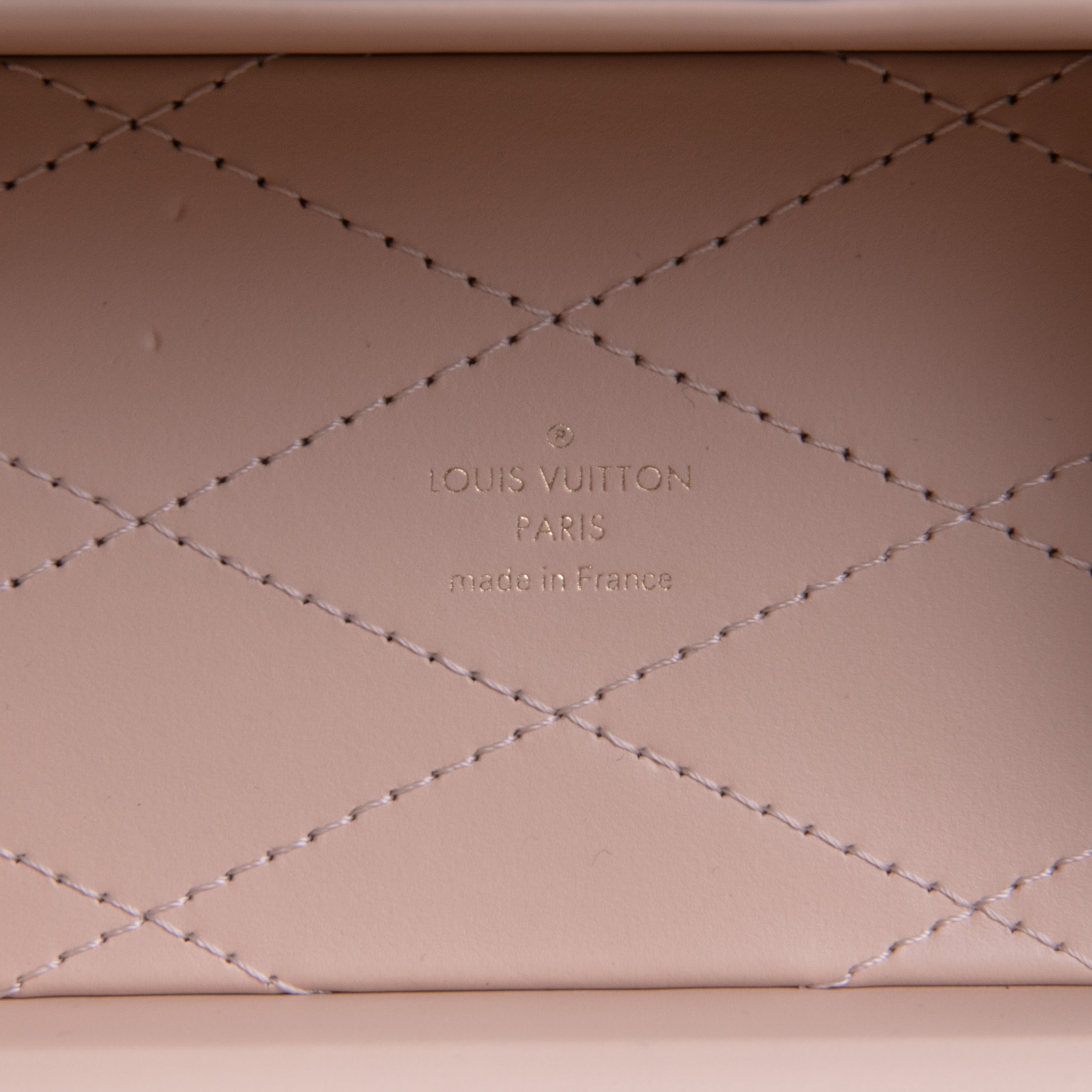 LOUIS VUITTON Camera Box Monogram