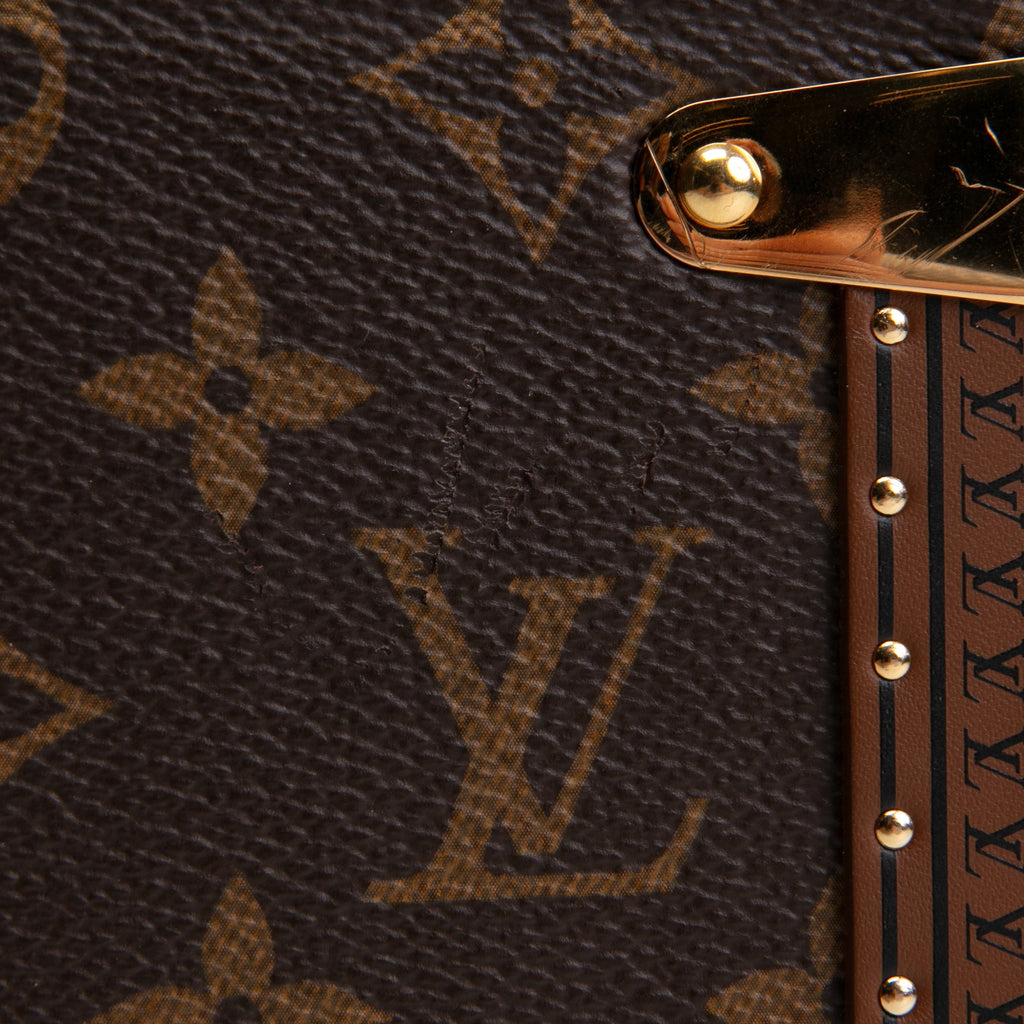 LOUIS VUITTON Camera Box Monogram