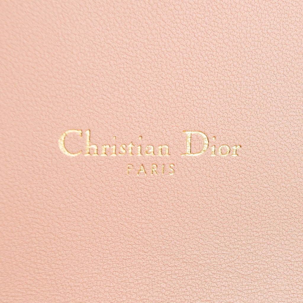 DIOR Caro Pouch w/ Chain