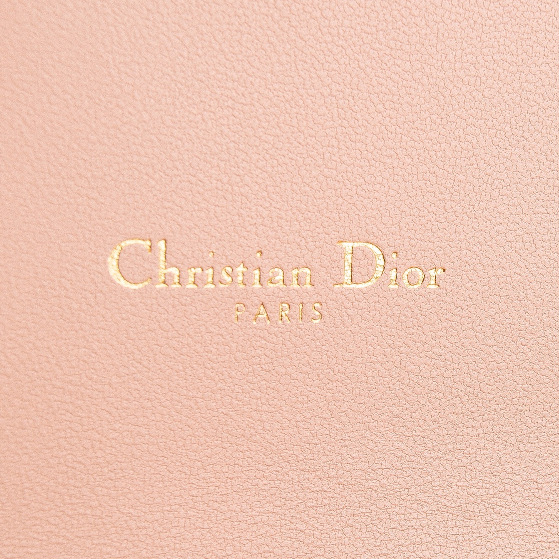 DIOR Caro Pouch w/ Chain