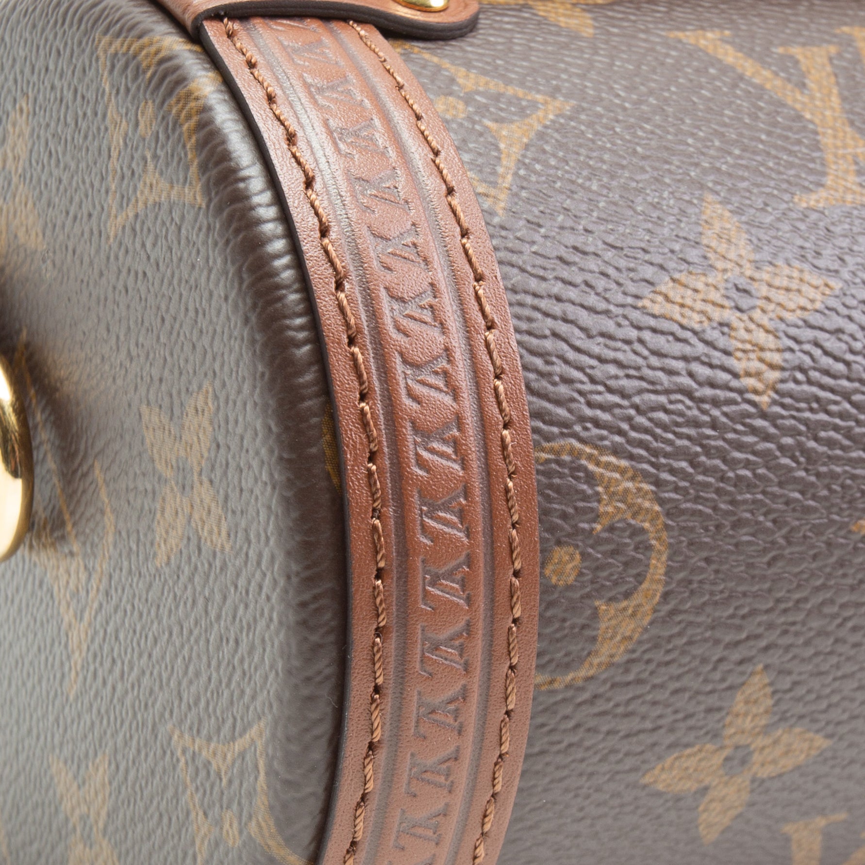 LOUIS VUITTON Monogram Papillon Trunk