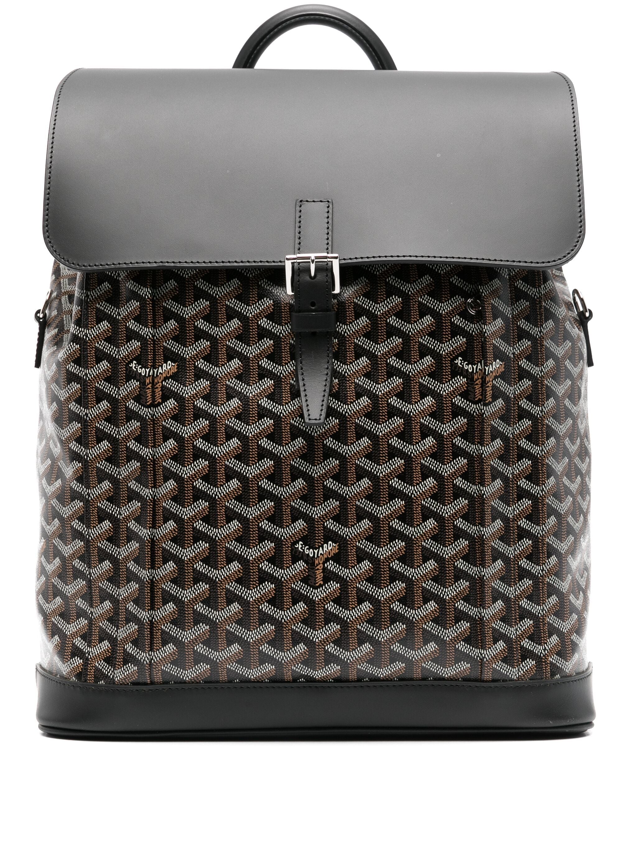 GOYARD Alpin MM backpack (2020)