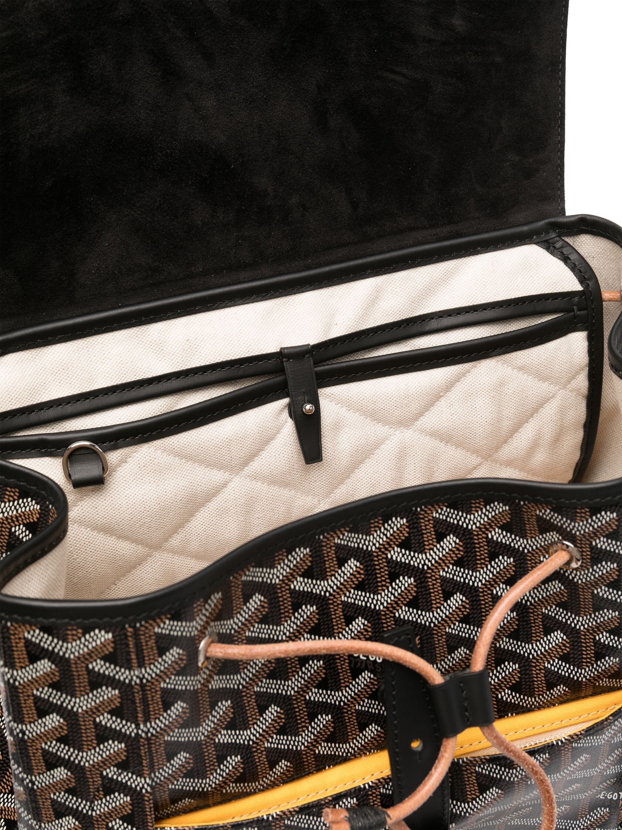 GOYARD Alpin MM backpack (2020)