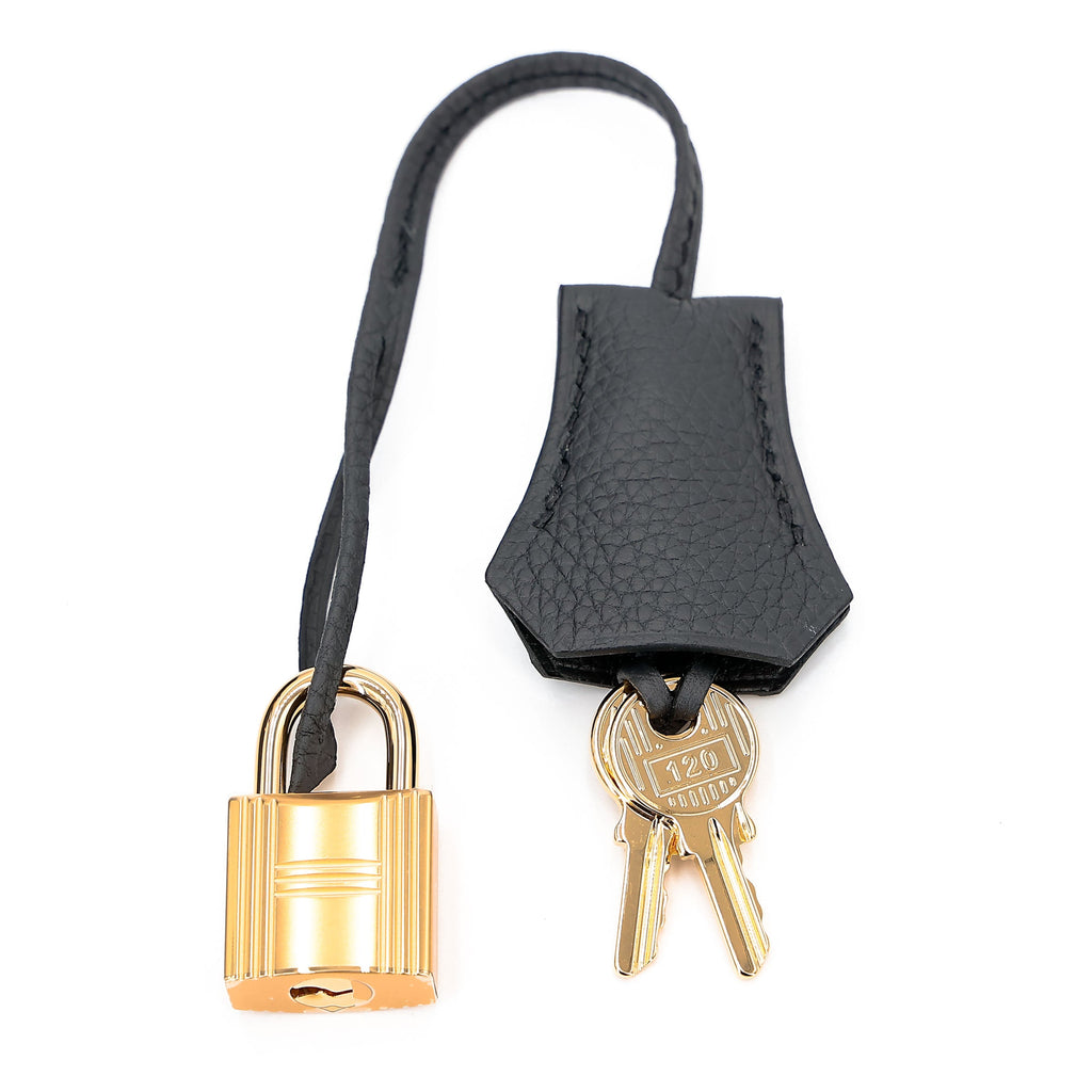 HERMÈS Birkin 25 Plomb (8P) Togo Gold hardware K (2025)