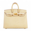 HERMÈS Birkin 20 Vanille Matte Alligator Gold hardware W (2024)
