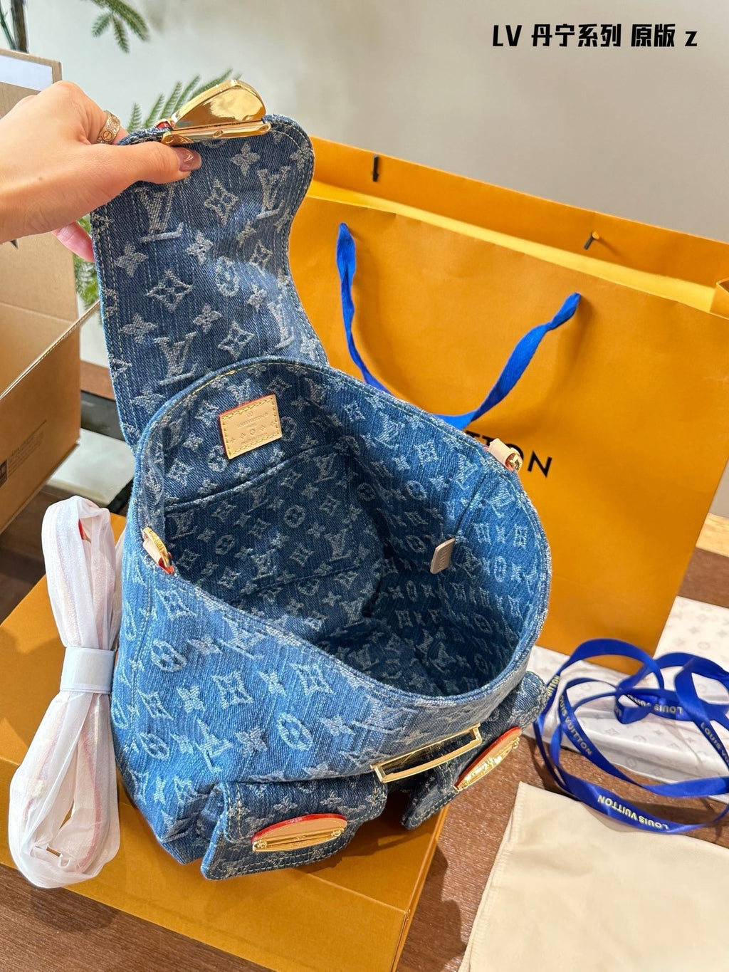 Louis Vuitton wayall bagpack