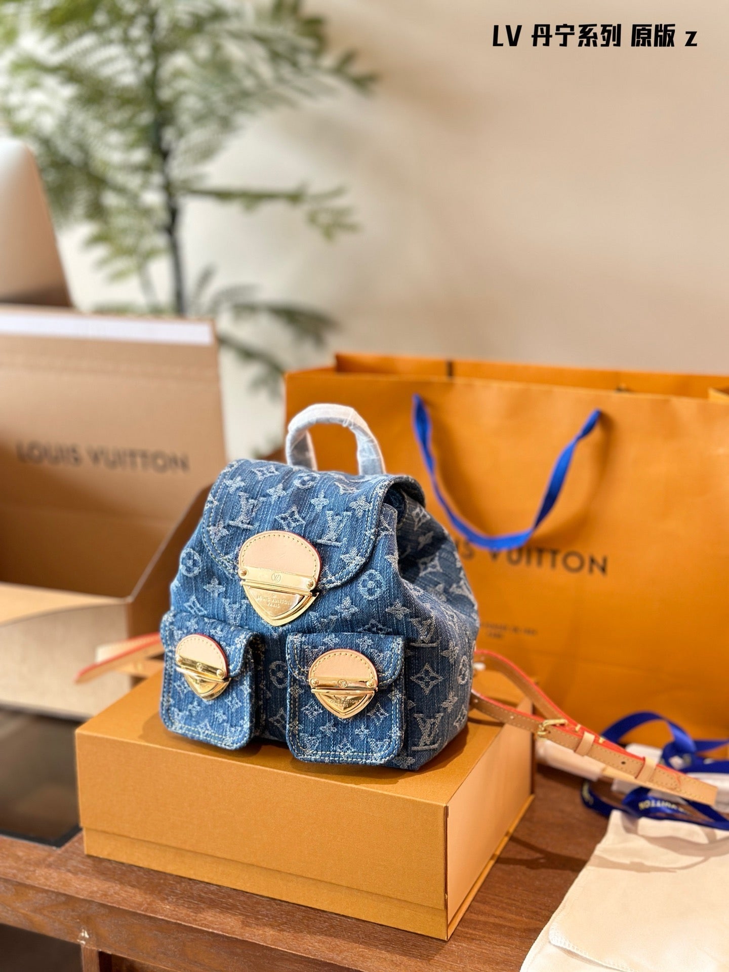 Louis Vuitton wayall bagpack
