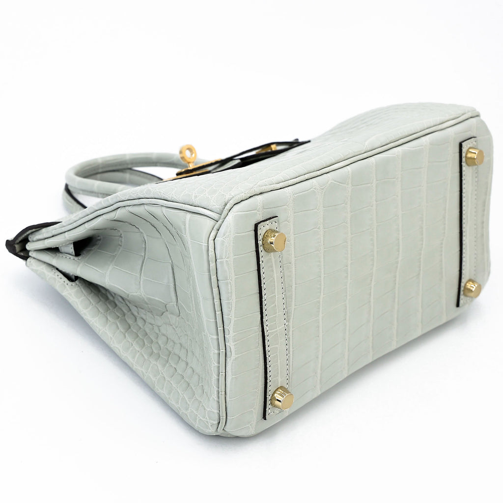 HERMÈS Birkin 25 Gris Neve (0W) Matte Alligator Gold hardware K (2025)