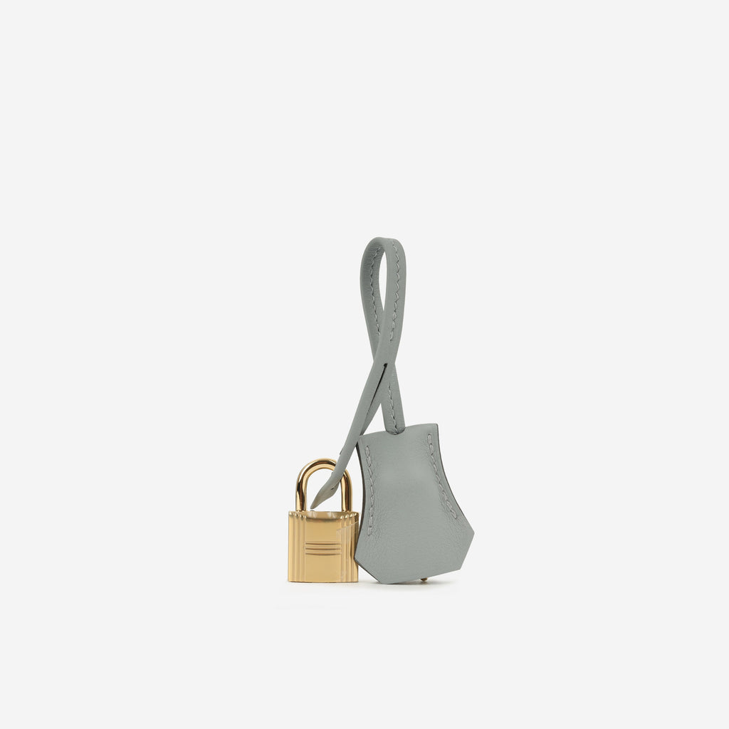 Hermès Birkin 25 - Gris Pantin Swift | Gold hardware
