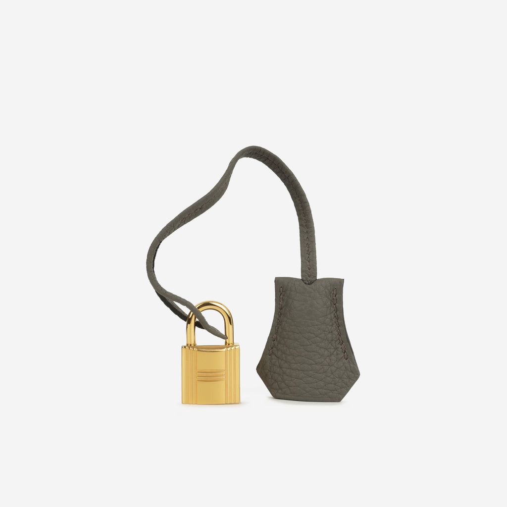 Hermès Birkin 25 - Gris Etain Togo | Gold Hardware