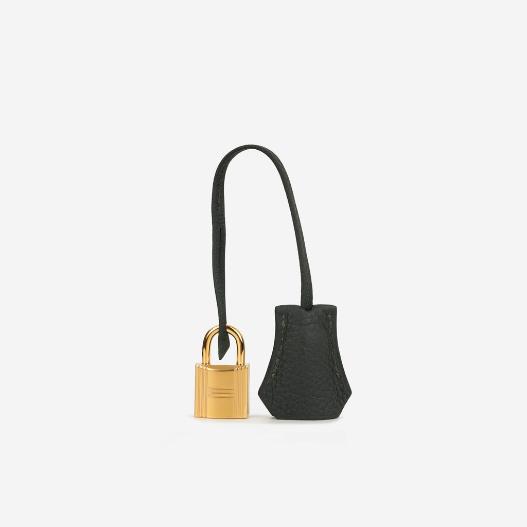 Hermès Birkin 25 - New Vert Fonce Togo | Gold Hardware
