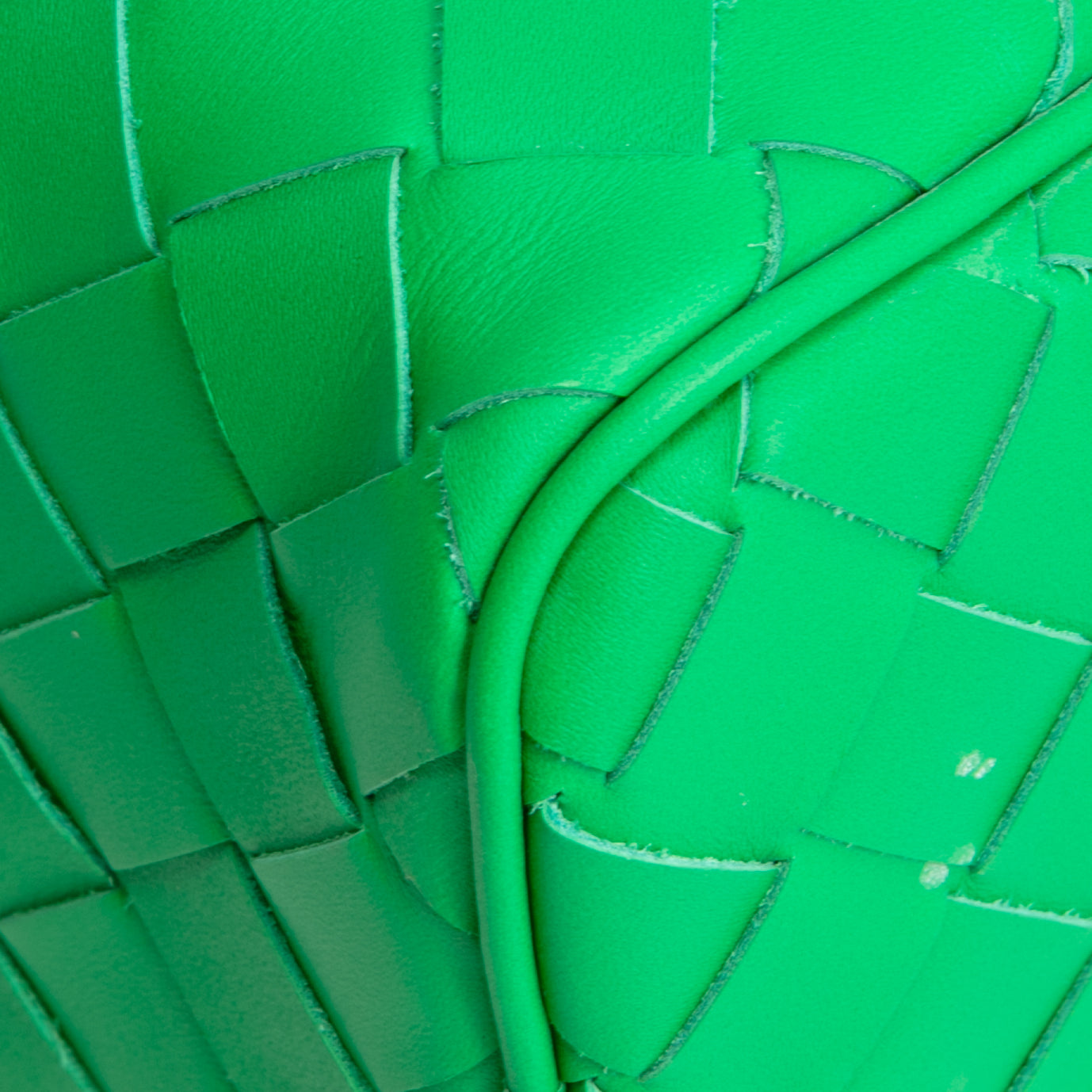 BOTTEGA VENETA Intrecciato Travel Pouch - Parakeet