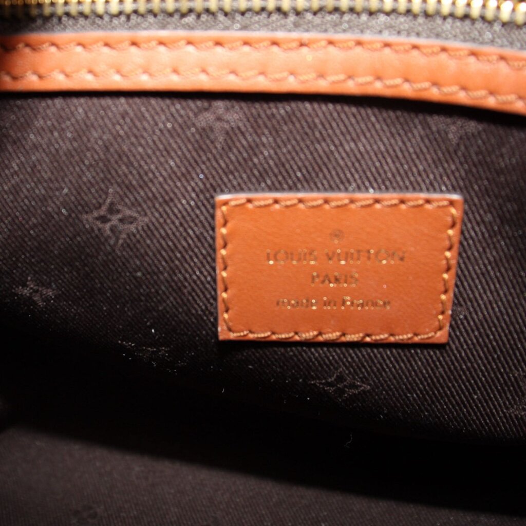 LOUIS VUITTON SPEEDY 25 SKI COZYGRAM CROSSBODYS BLACK