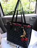 Coach bag with key chain