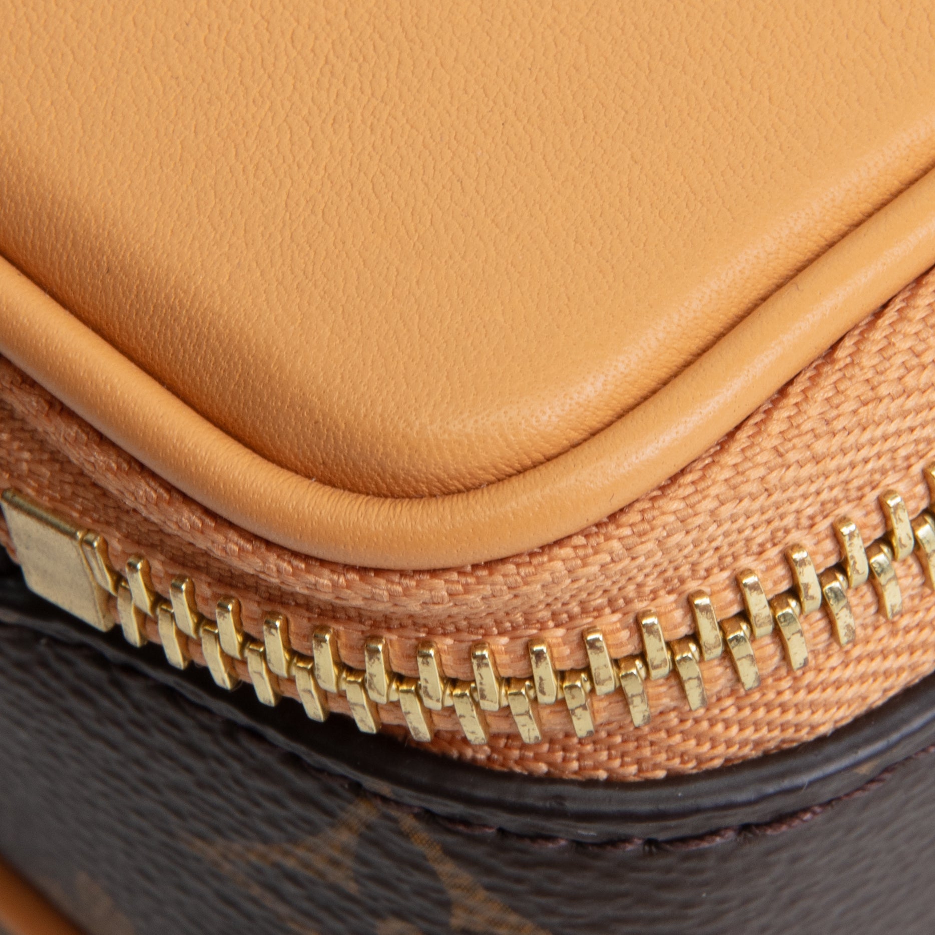 LOUIS VUITTON Limited Edition Baladeur Wearable Wallet