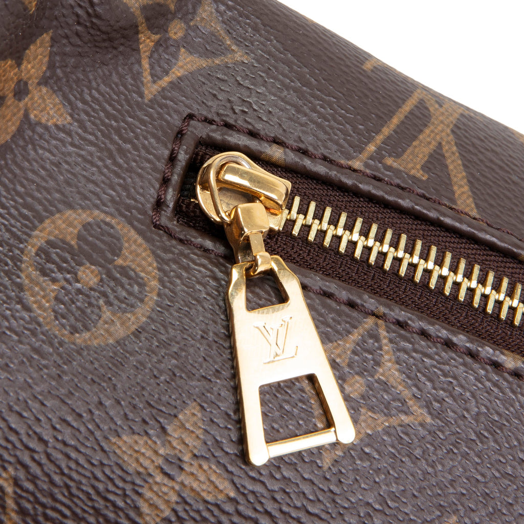 LOUIS VUITTON Monogram Bumbag