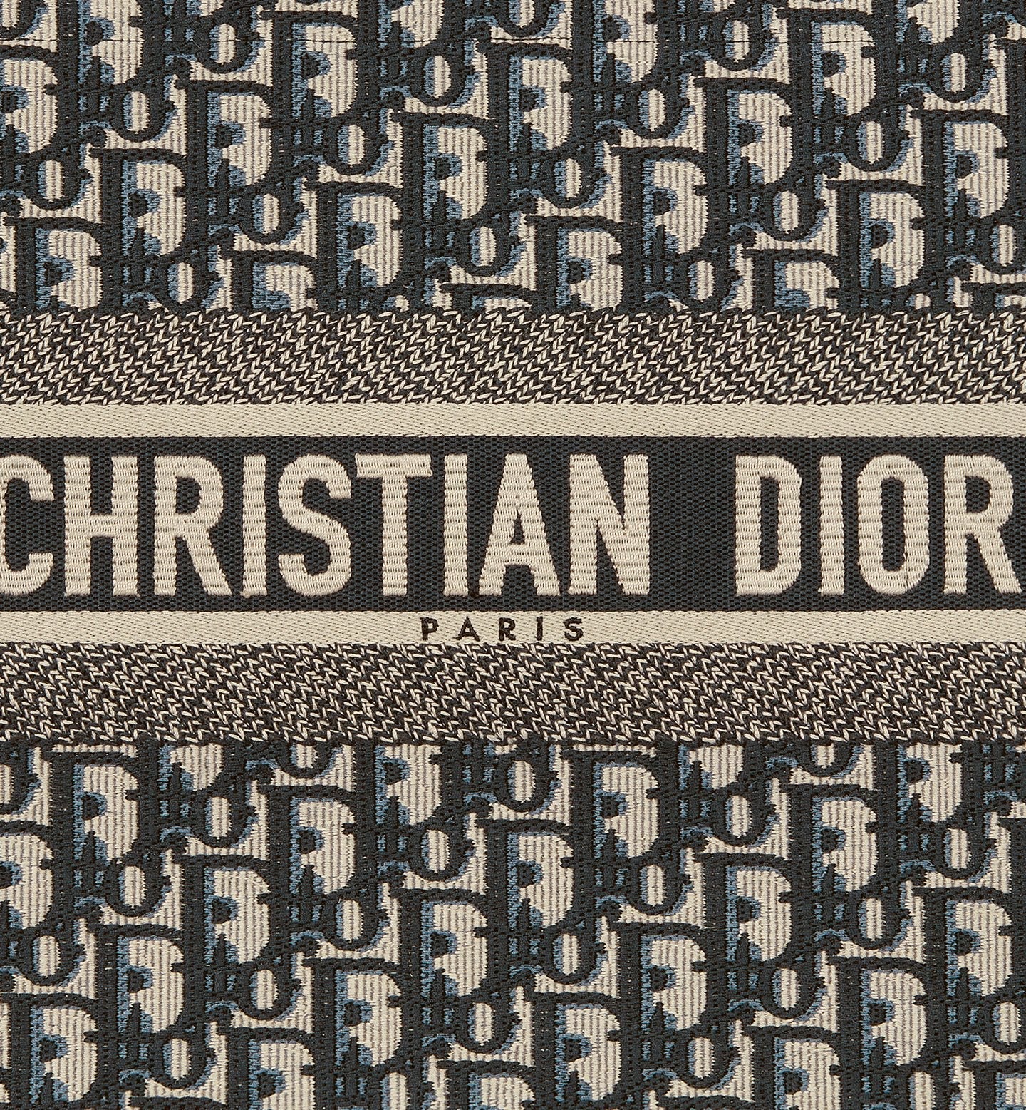 Medium Dior Book Tote 2025