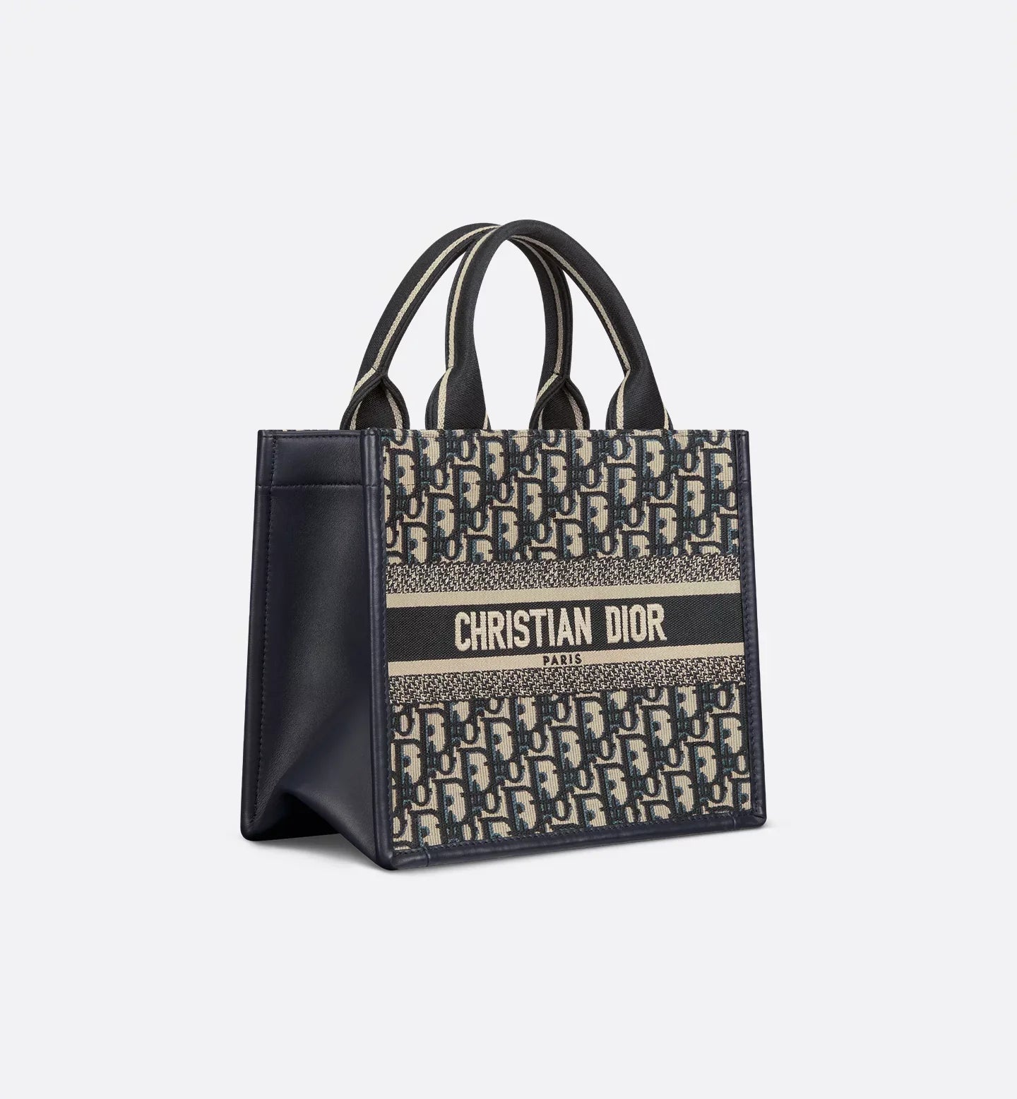 Small Dior Book Tote 2025