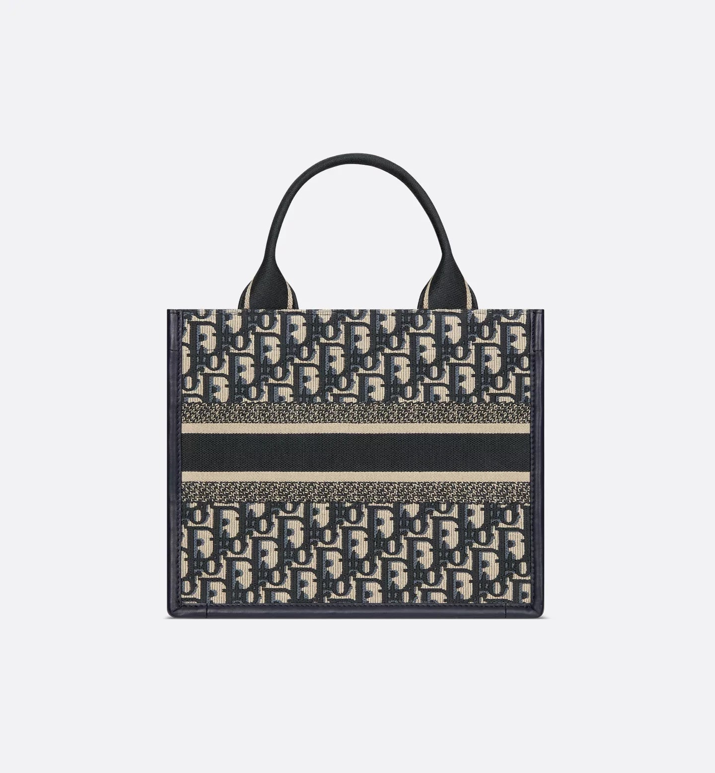 Small Dior Book Tote 2025