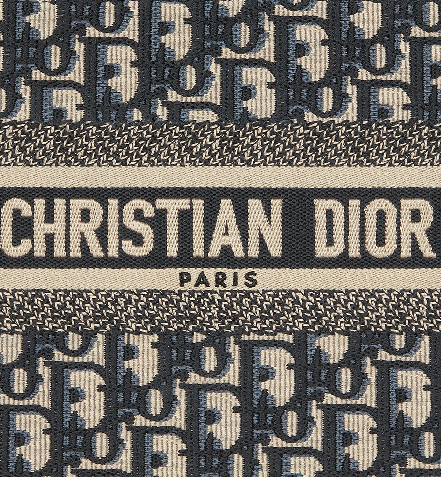 Small Dior Book Tote 2025