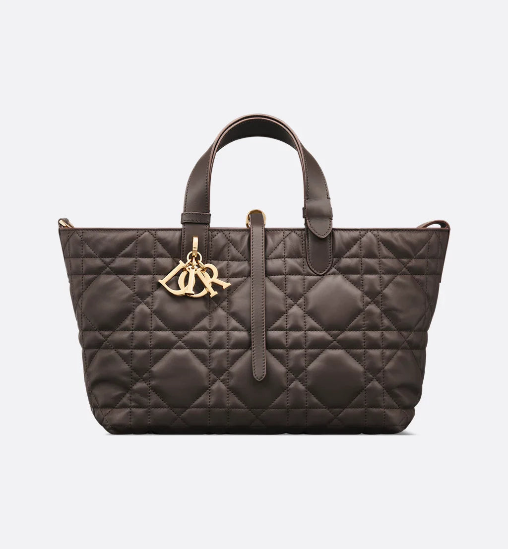 Medium Dior Toujours Bag 2025