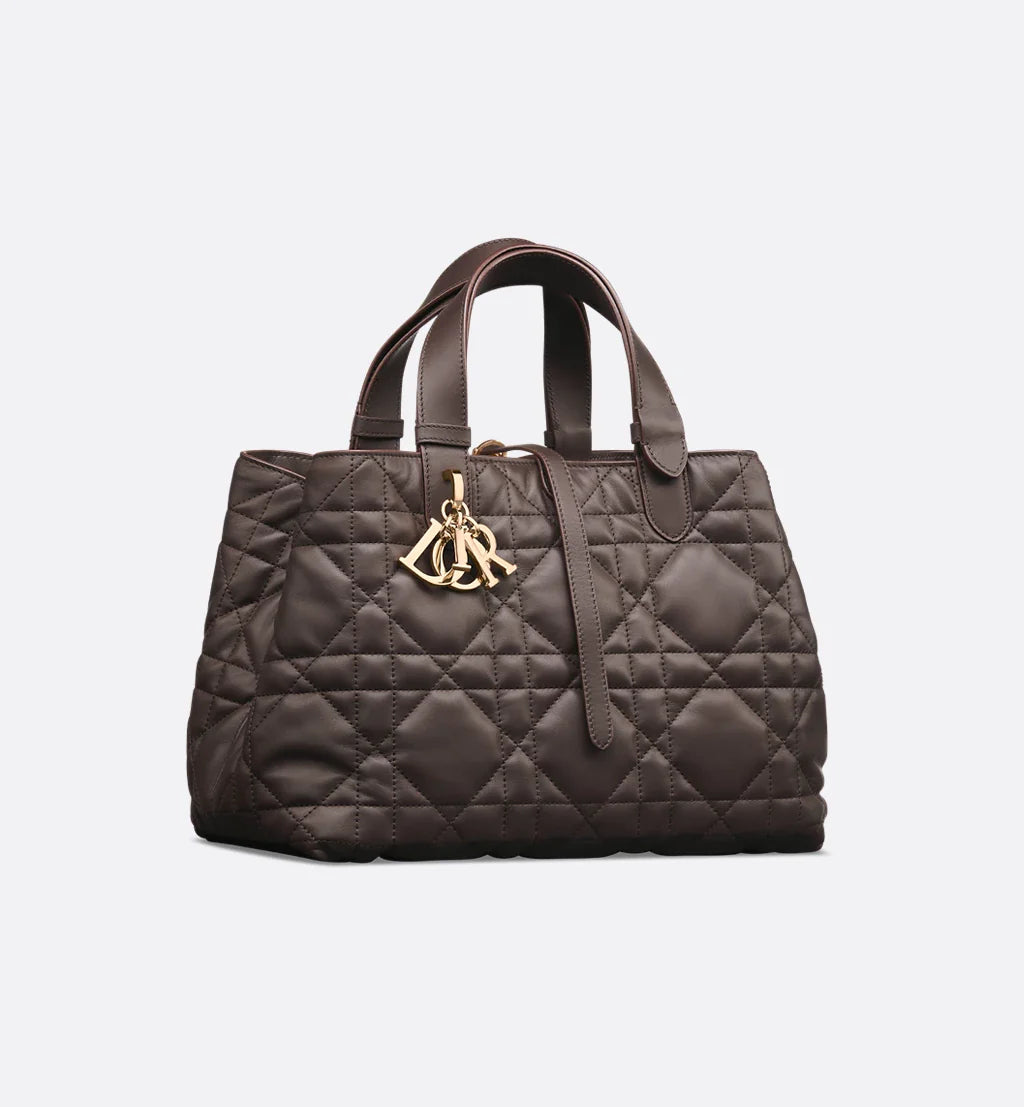 Medium Dior Toujours Bag 2025