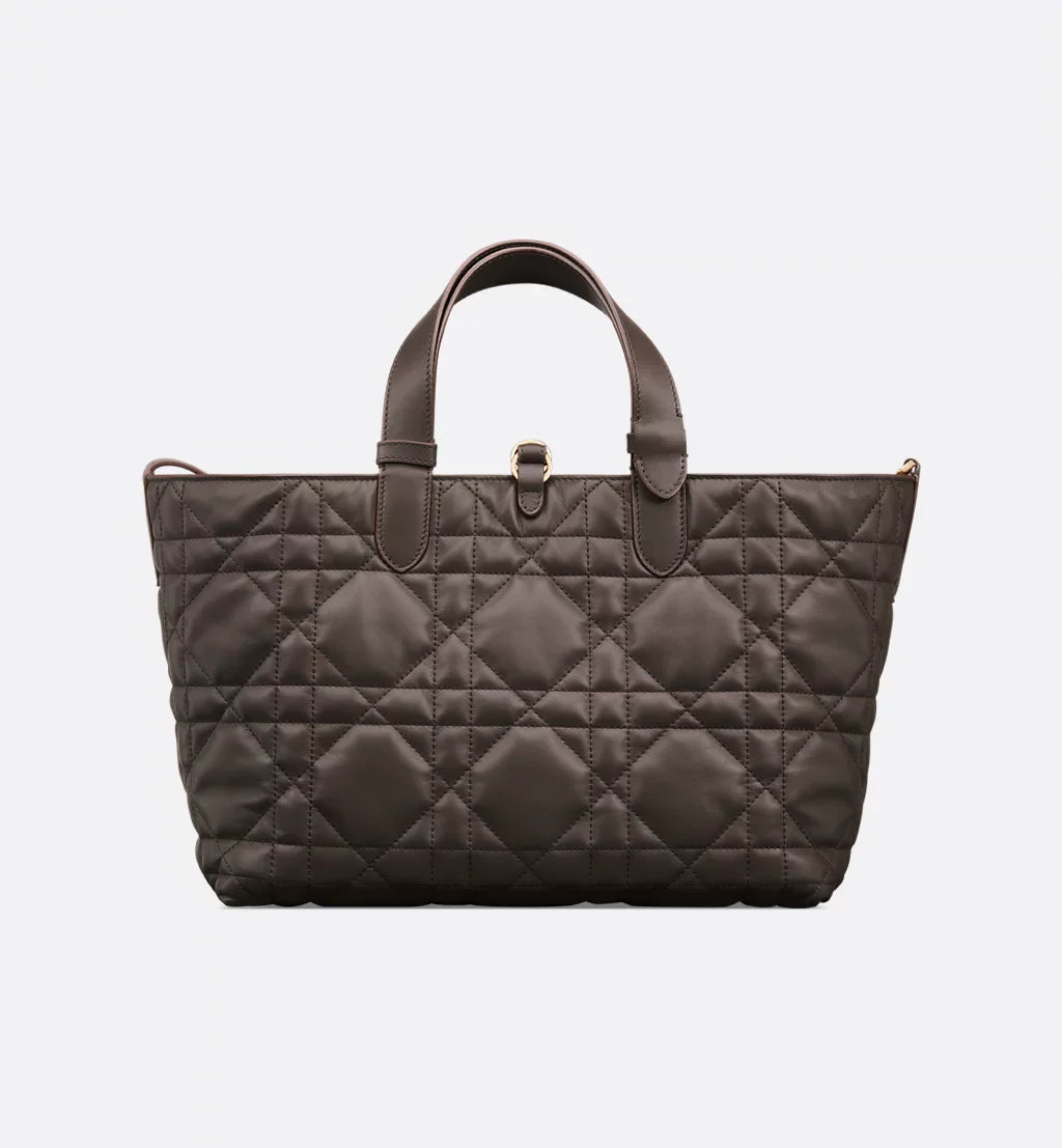 Medium Dior Toujours Bag 2025