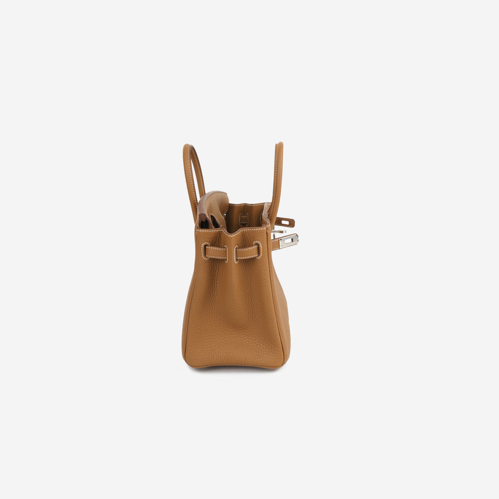 Hermès Birkin 25 - Gold Togo | Palladium Hardware (Brand New)