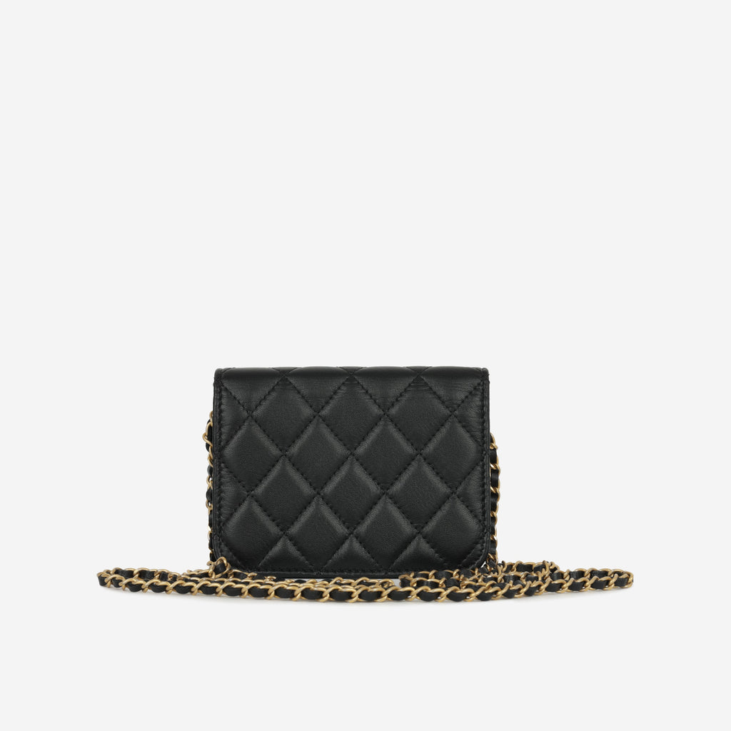 19 Flap Coin Purse on Chain