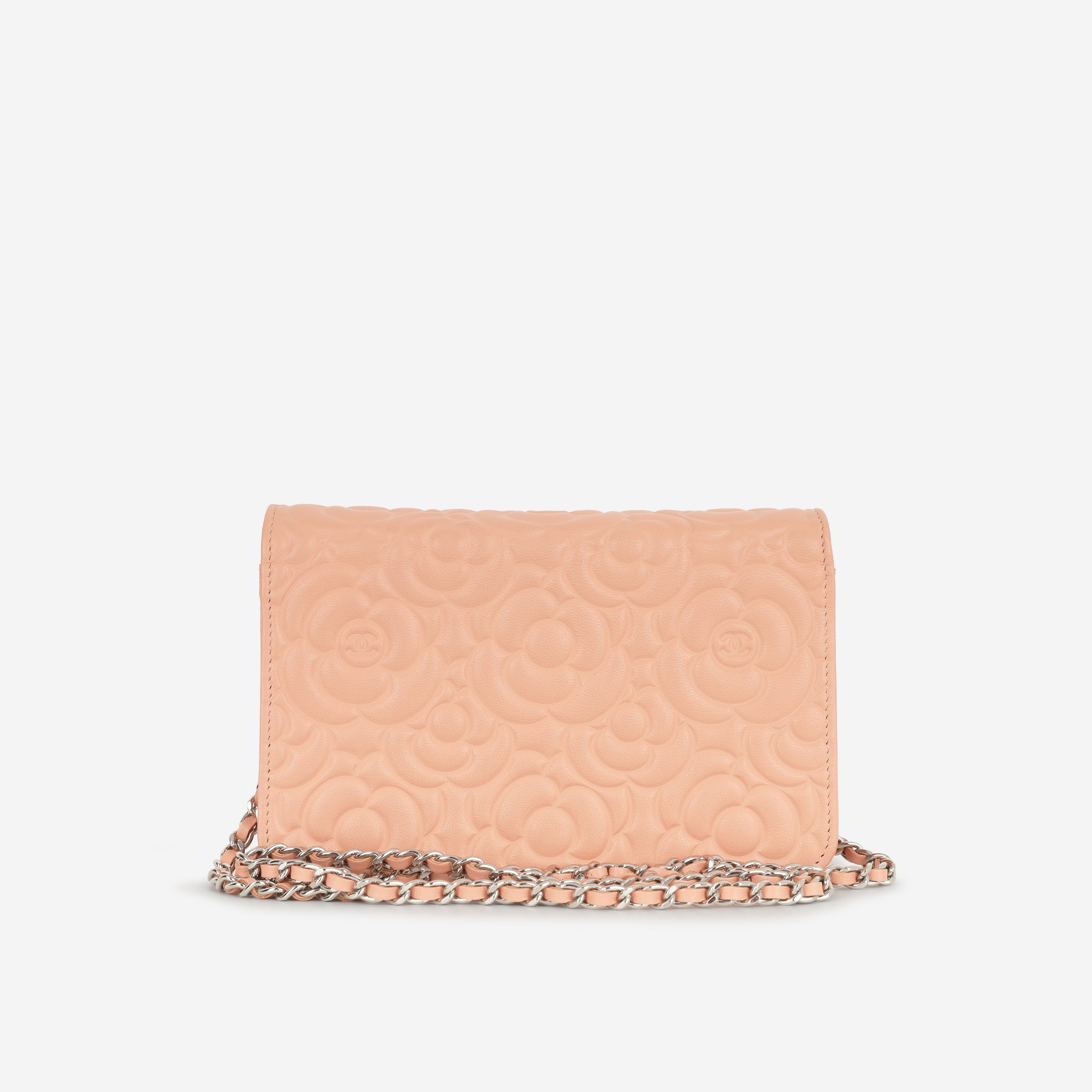 Camellia WOC