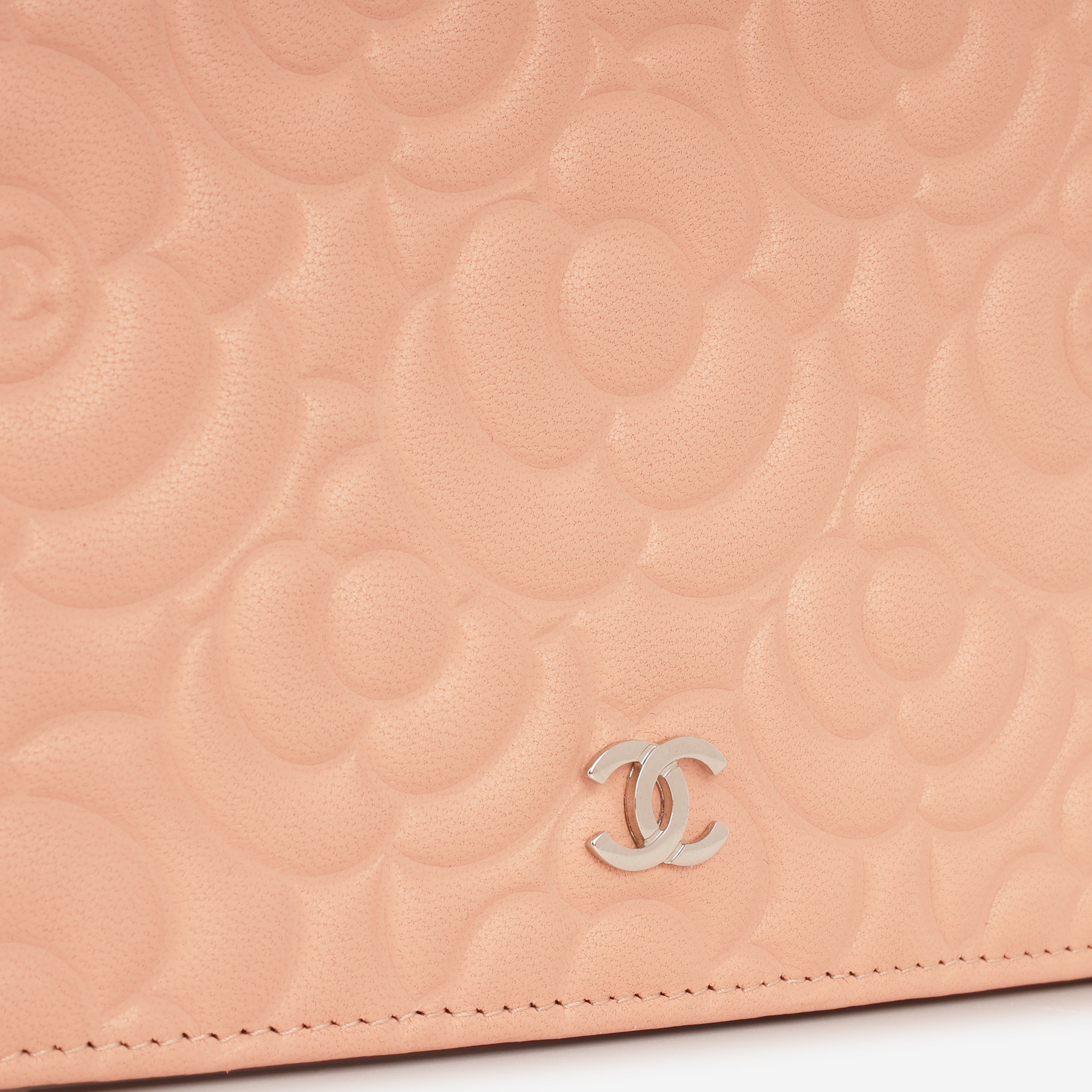 Camellia WOC
