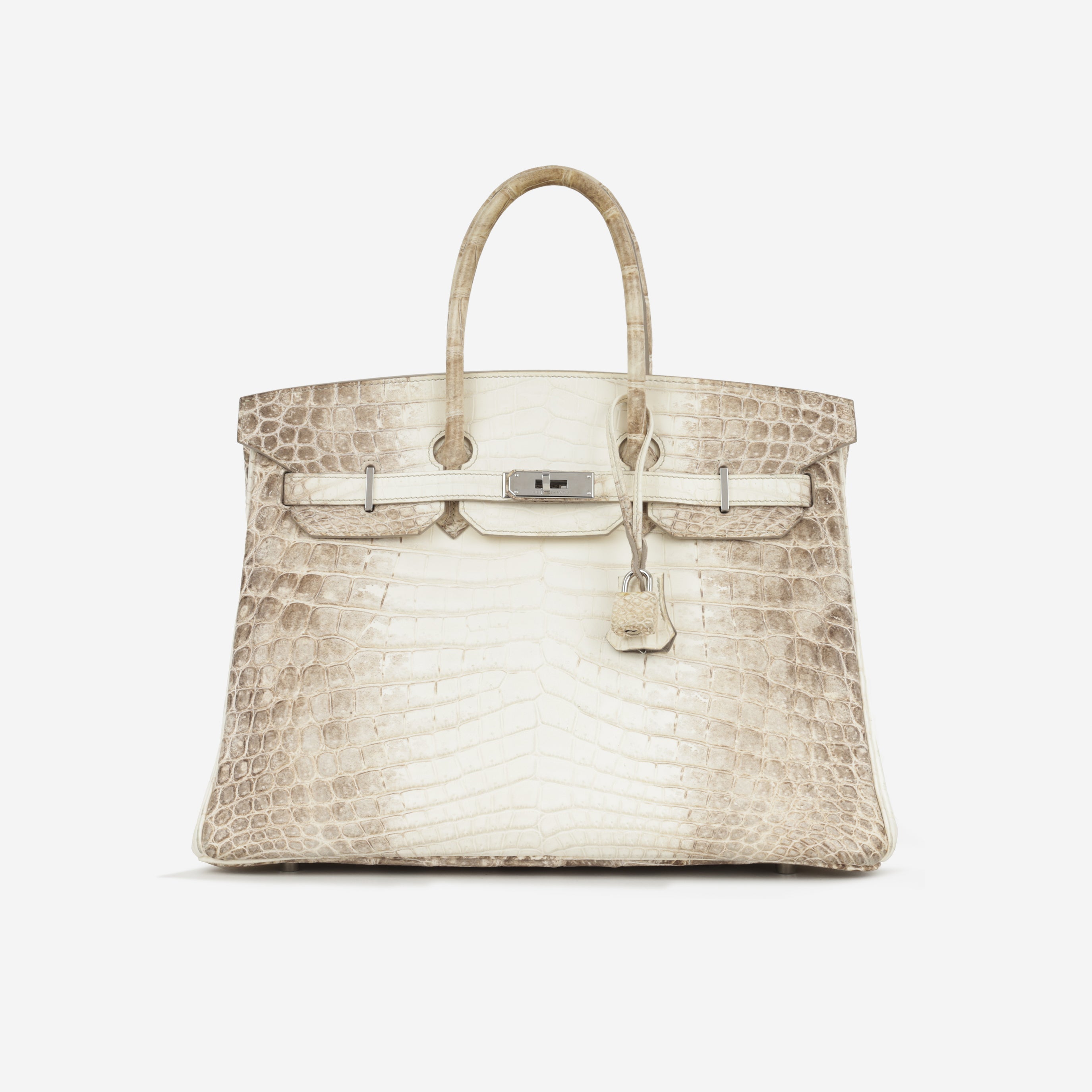 Hermès Birkin 35 - Himalayan Crocodile Niloticus | Palladium Hardware