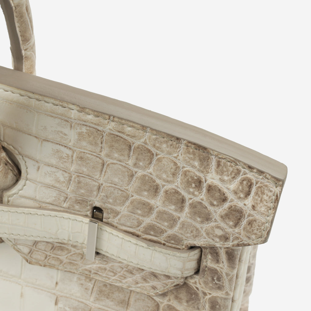 Hermès Birkin 35 - Himalayan Crocodile Niloticus | Palladium Hardware