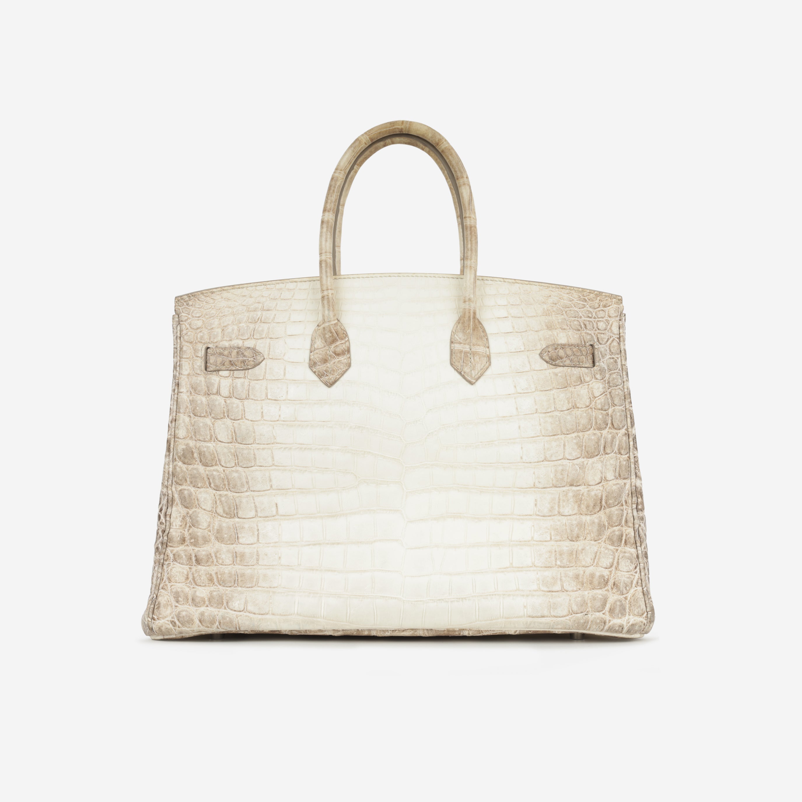 Hermès Birkin 35 - Himalayan Crocodile Niloticus | Palladium Hardware