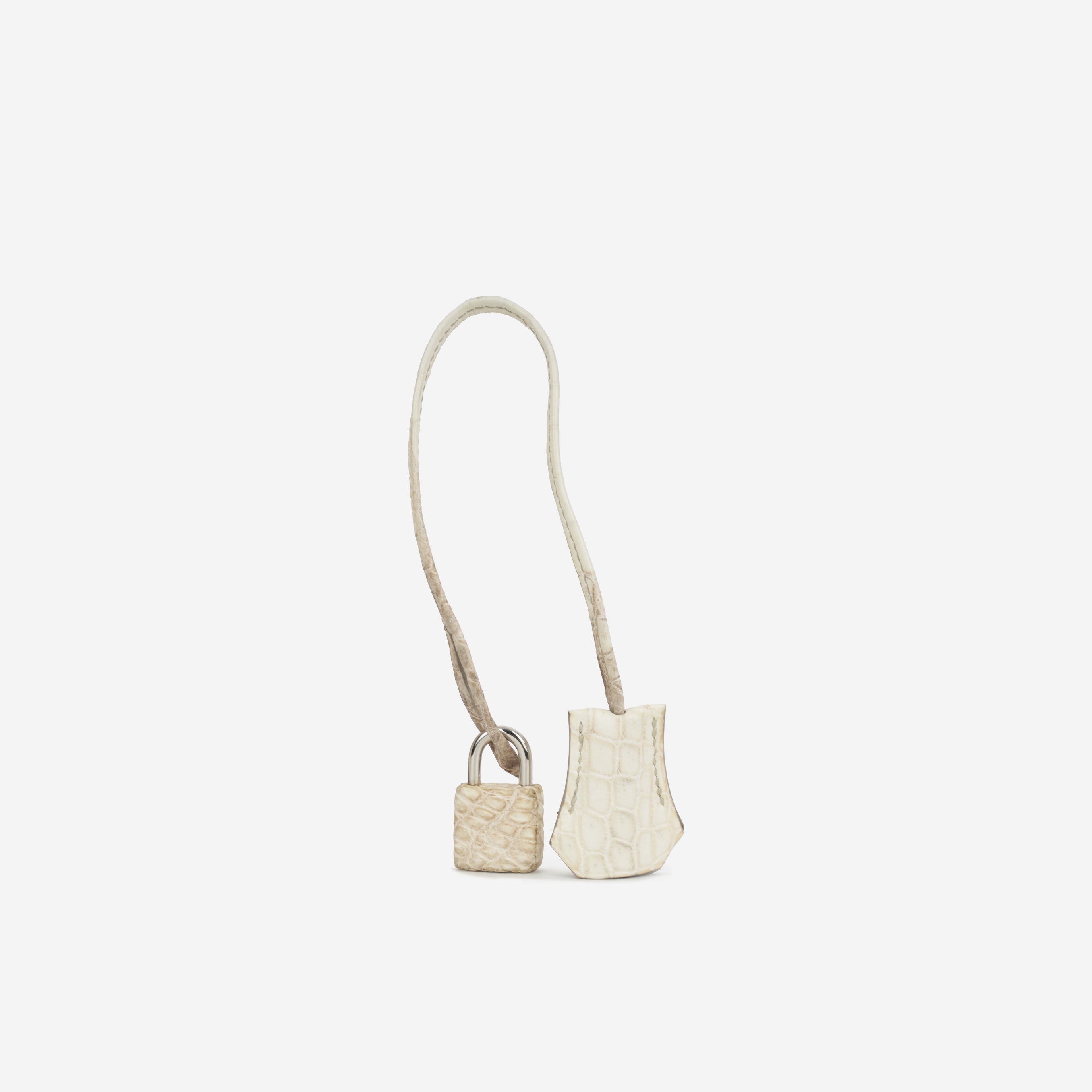Hermès Birkin 35 - Himalayan Crocodile Niloticus | Palladium Hardware