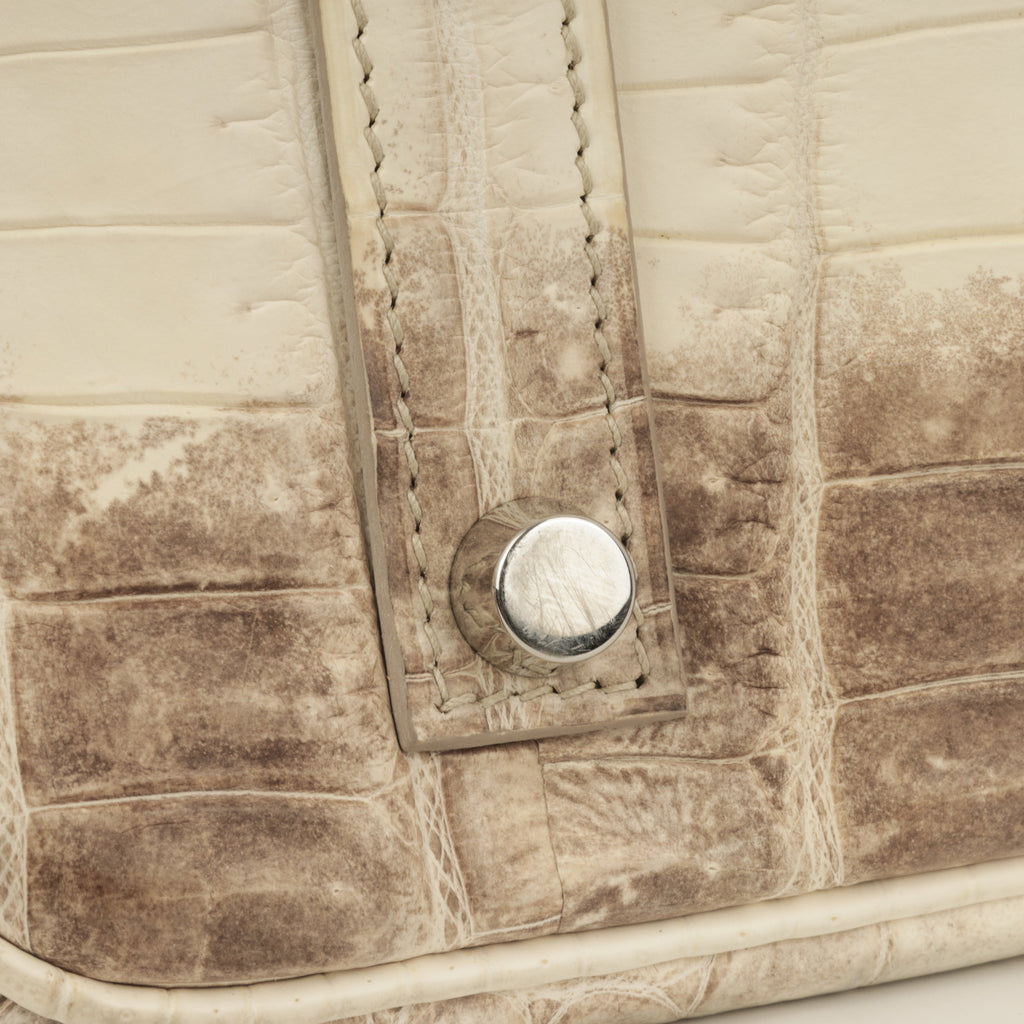 Hermès Birkin 35 - Himalayan Crocodile Niloticus | Palladium Hardware