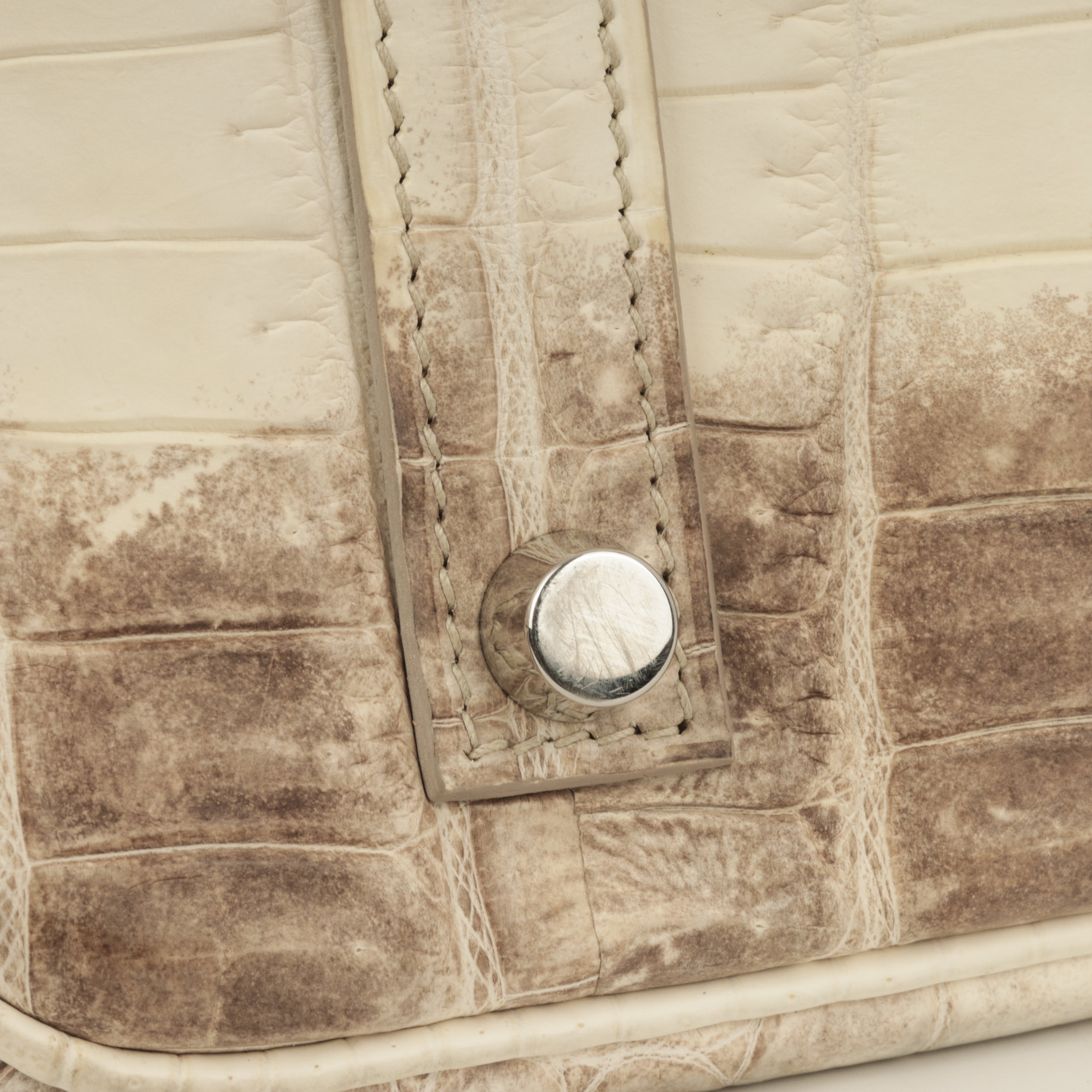 Hermès Birkin 35 - Himalayan Crocodile Niloticus | Palladium Hardware