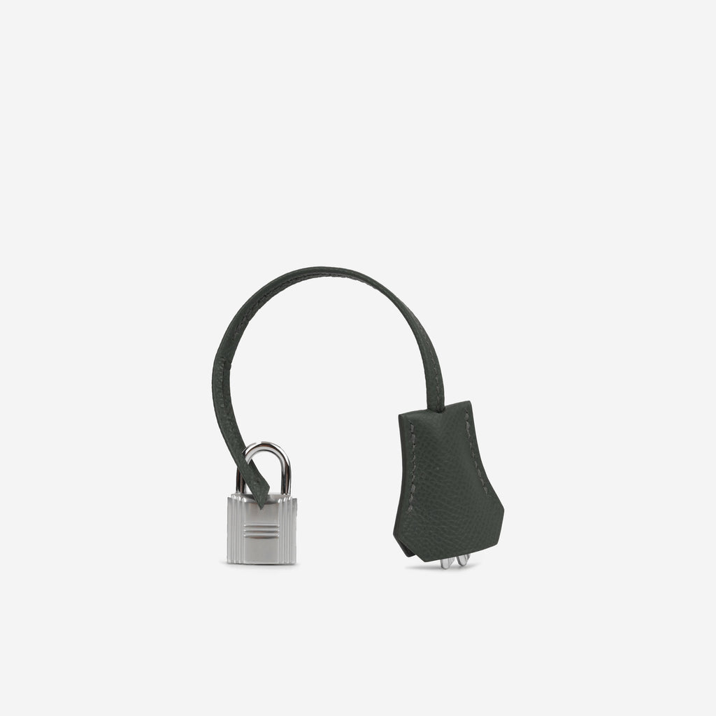 Hermès Kelly 25 - Vert Mangrove Epsom | Palladium Hardware