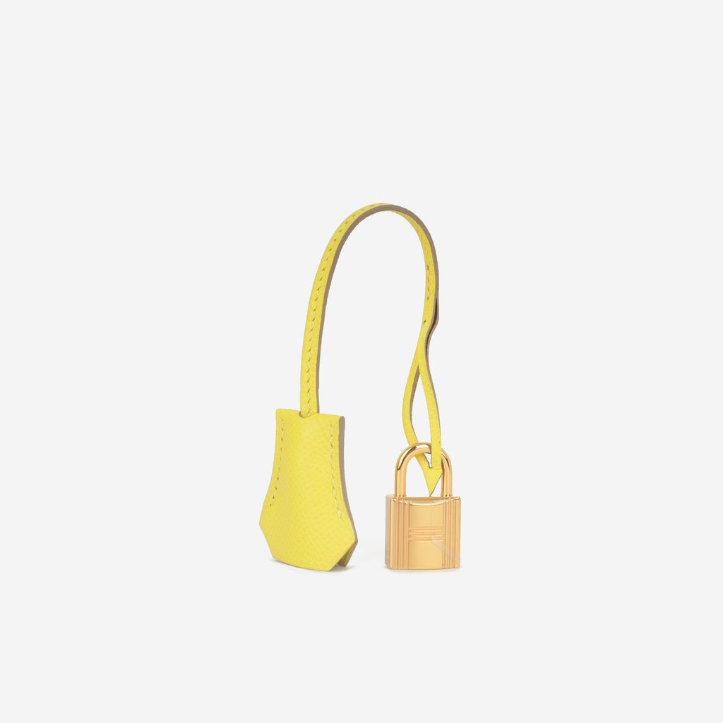 Hermès Kelly 25 - Lime Epsom | Gold Hardware