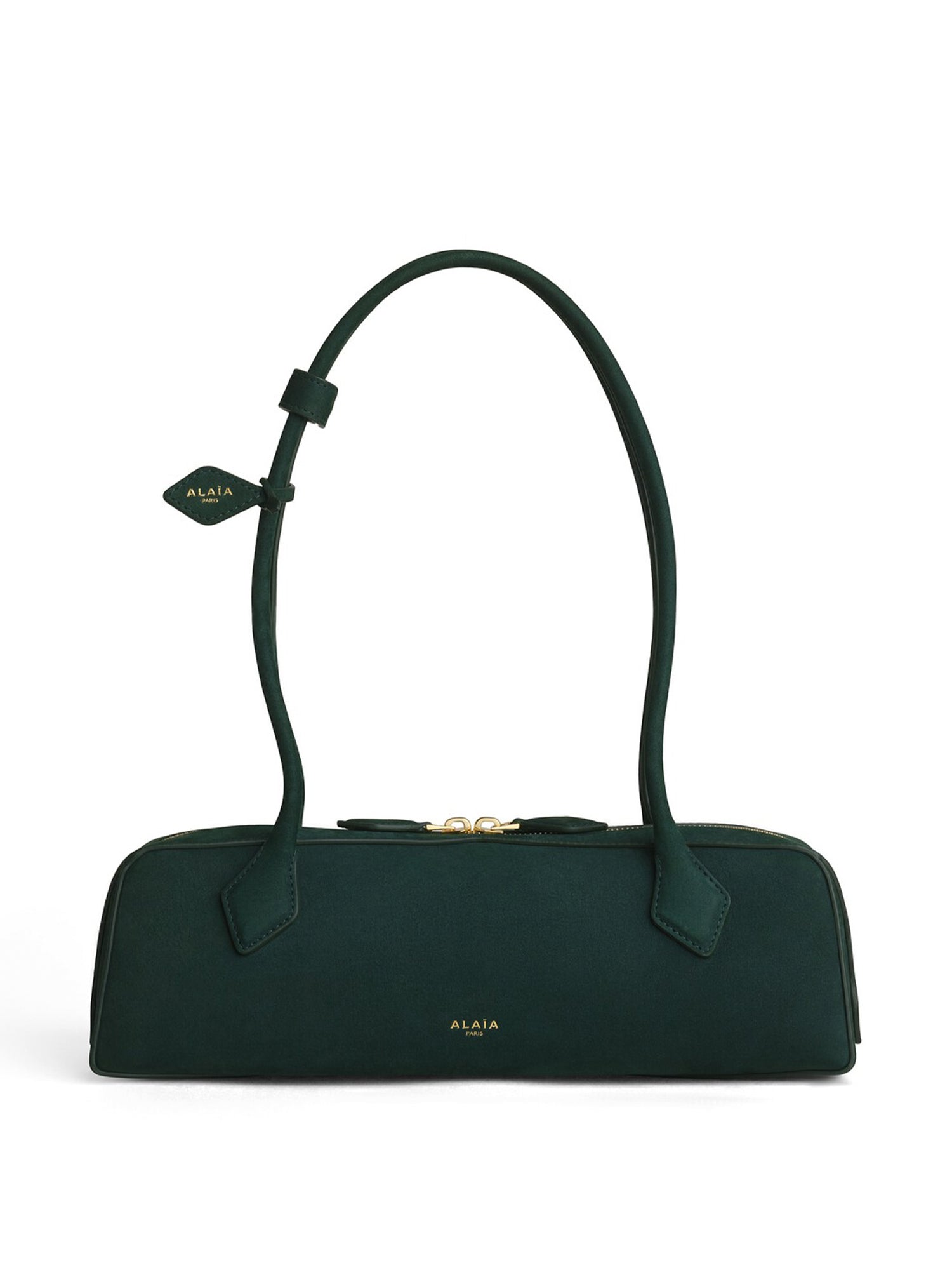 Medium Nubuck Le Teckel Bag