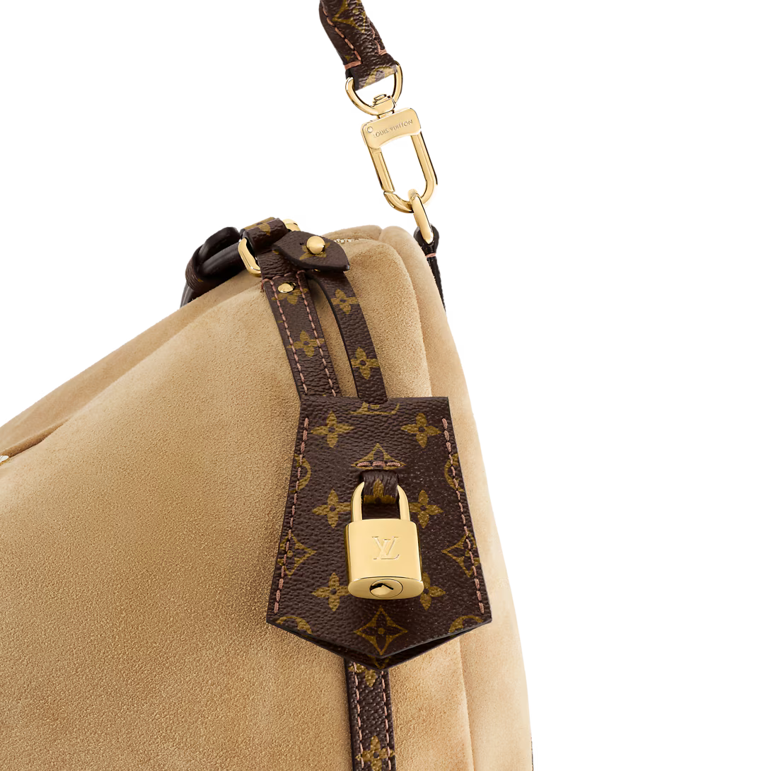 Louis Vuitton Express MM (2025)