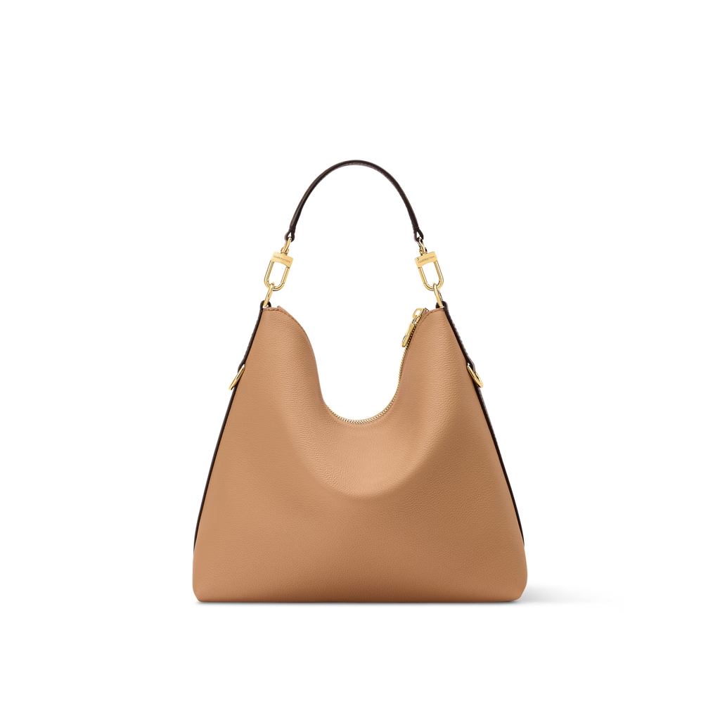 Louis Vuitton Multipass Bag (2025)