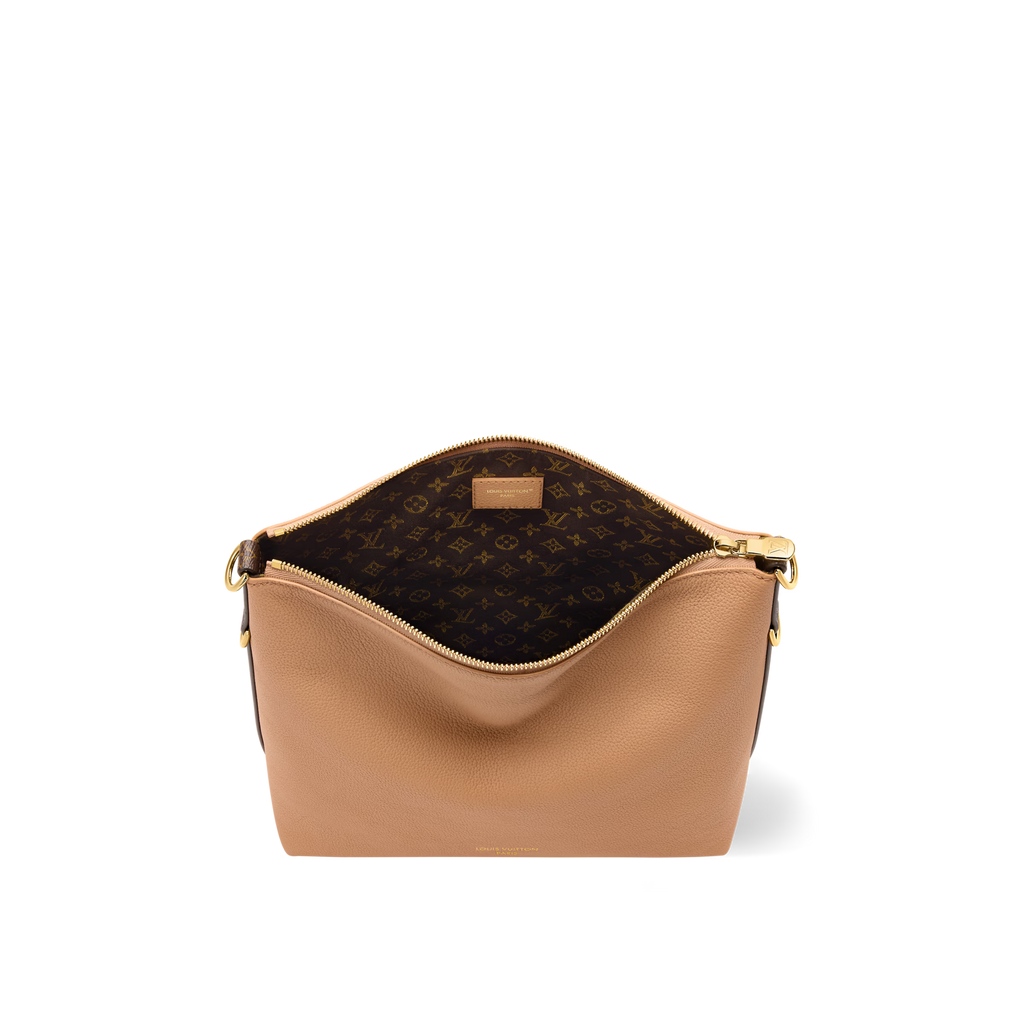 Louis Vuitton Multipass Bag (2025)