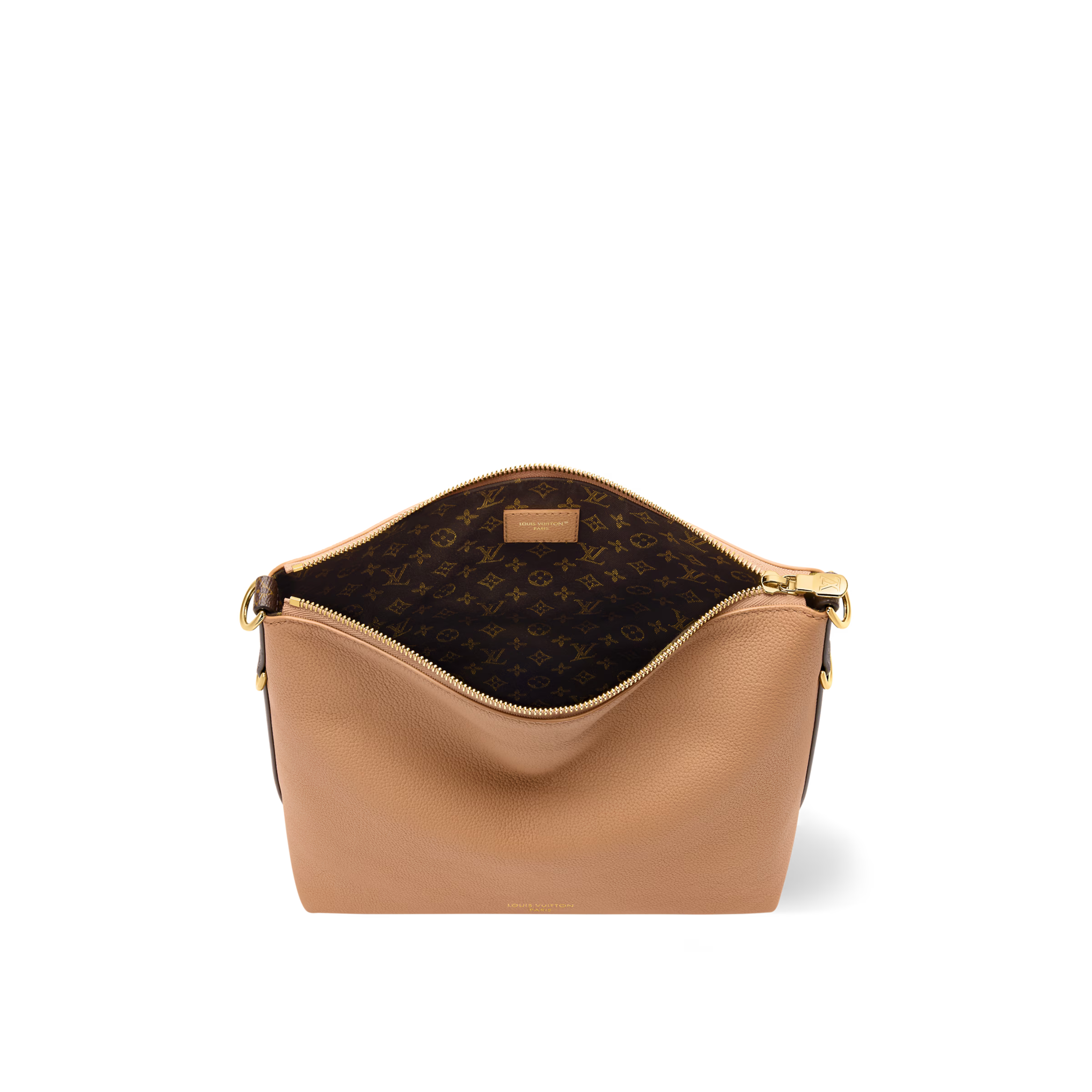 Louis Vuitton Multipass Bag (2025)