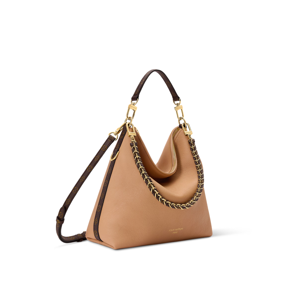 Louis Vuitton Multipass Bag (2025)