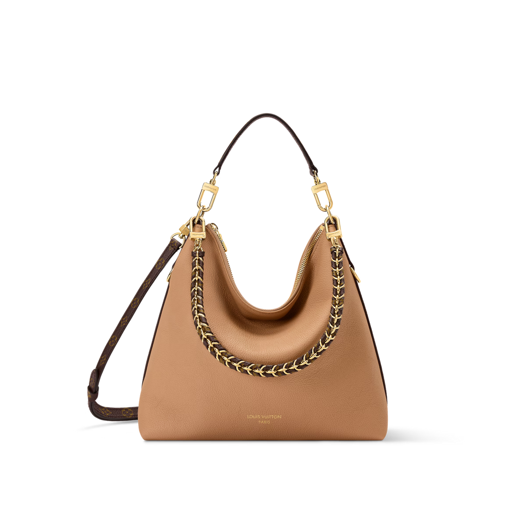 Louis Vuitton Multipass Bag (2025)