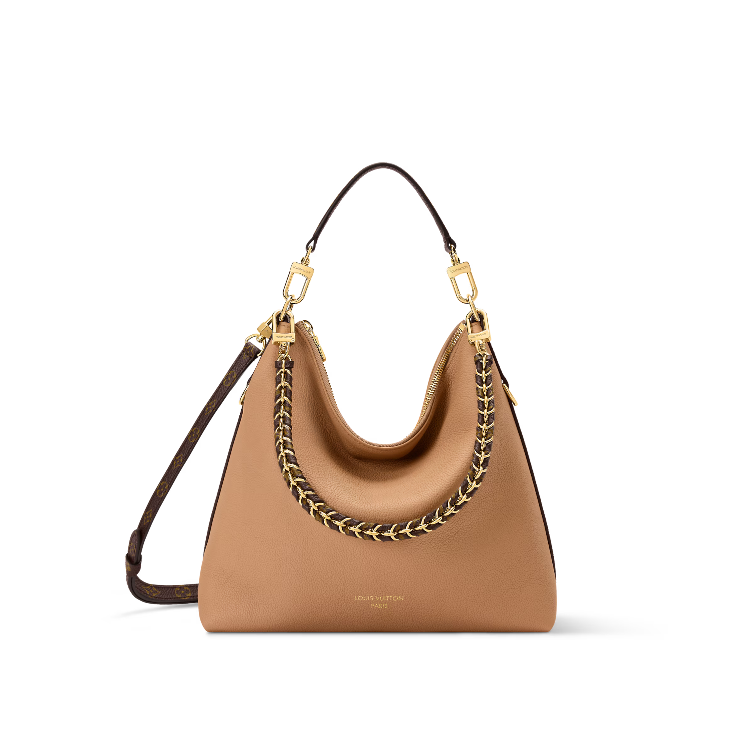 Louis Vuitton Multipass Bag (2025)