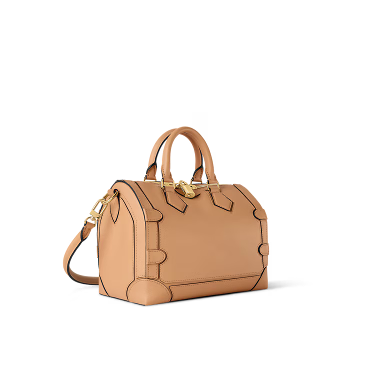 Louis Vuitton Speedy 25 Silhouette (2025)
